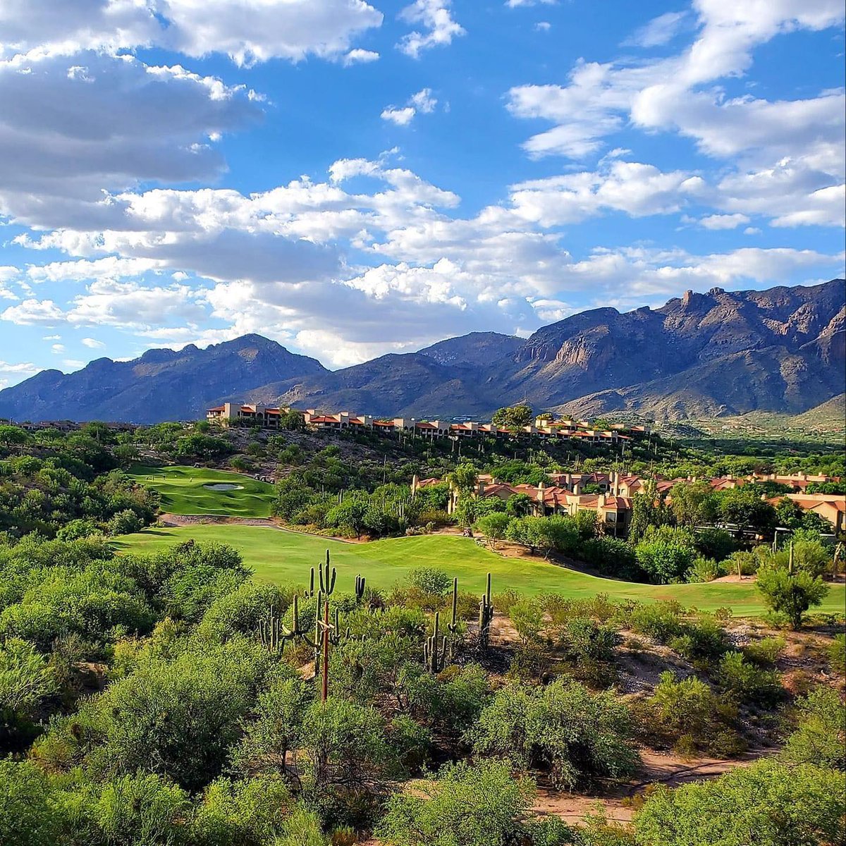 We love when members capture beautiful photos of our golf course. Canyon 7.