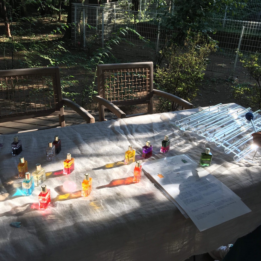 ♪フィールドワークでの氣づき～☀️太陽パワー🌞 ー アメブロを更新しました
#森の中
ameblo.jp/herbdolce/entr…