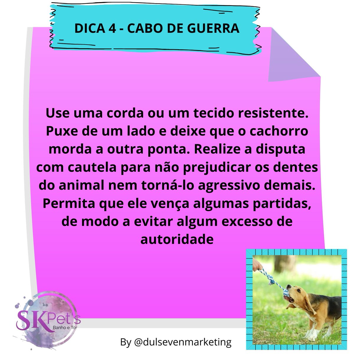 skpetsoficial's tweet photo. ⠀#boanoite #dicaspets #brincadeiraspet #brincadeirasparastatus #atenção #obdiência #brincar #doações #skpetsoficial #serviços #clientes #banhoetosa #hidratações #transportepet #clubinhopet#amodogs #amopet #publicidades #propaganda #promoçoes #typs #petshop #lovepets #lovedogs https://t.co/KWYXDZQ9D7