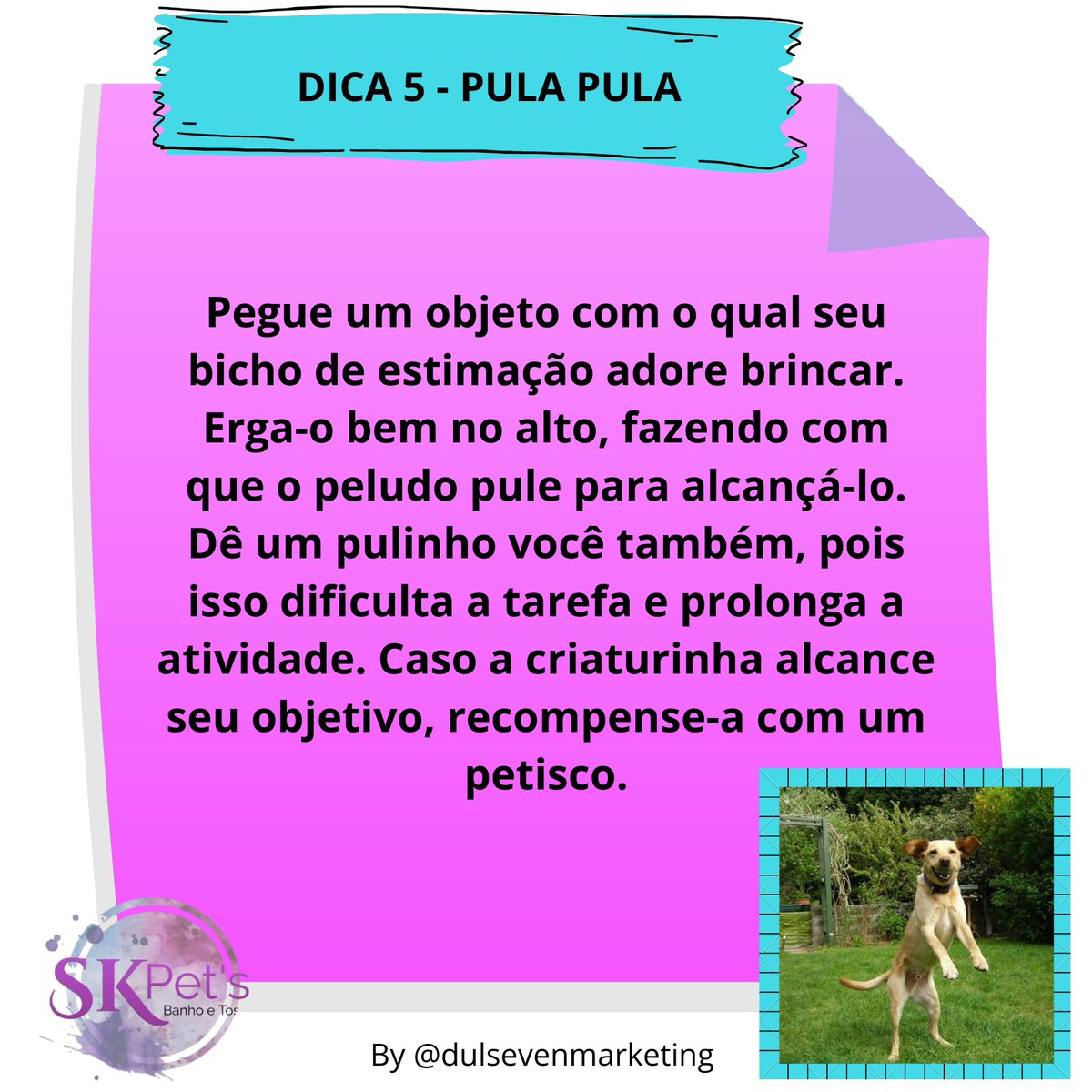 skpetsoficial's tweet photo. ⠀#boanoite #dicaspets #brincadeiraspet #brincadeirasparastatus #atenção #obdiência #brincar #doações #skpetsoficial #serviços #clientes #banhoetosa #hidratações #transportepet #clubinhopet#amodogs #amopet #publicidades #propaganda #promoçoes #typs #petshop #lovepets #lovedogs https://t.co/KWYXDZQ9D7