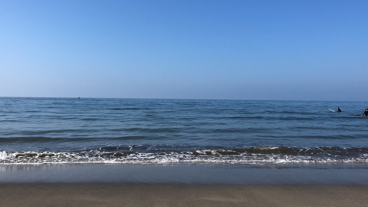 bucci_bass's tweet image. #nosurf