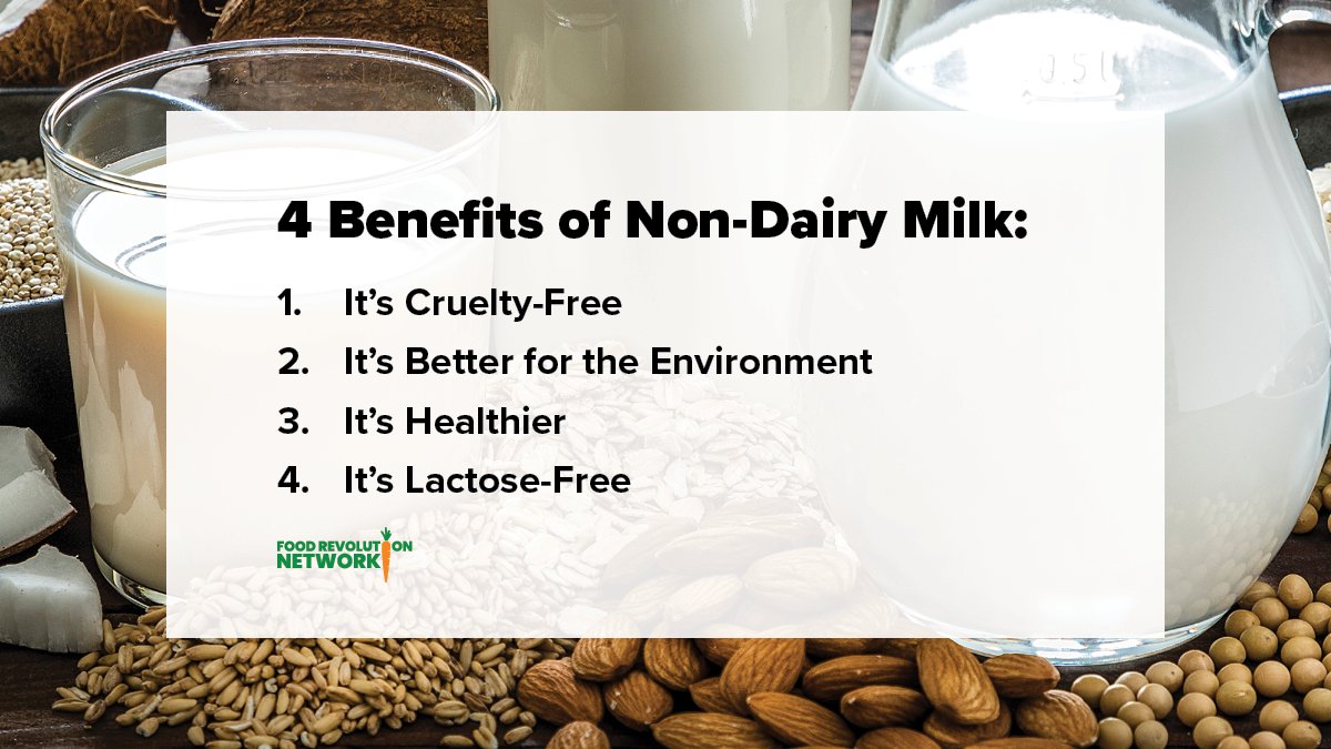 AFoodRevolution's tweet photo. Dairy milk isn't all it's cracked up to be.

Get the lowdown on non-dairy milk, plus a look at 10 popular plant milks: https://t.co/kr2LjqhM1r https://t.co/UXNnSJfNZL