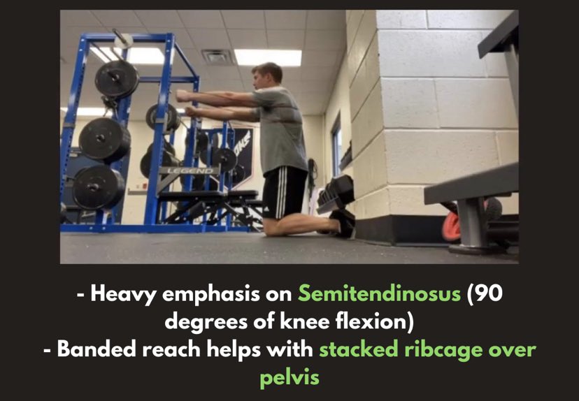 Here is an example of how to train them isometrically in a Nordic curl variation. The band helps ensure a stacked ribcage over pelvis to prevent excessive anterior pelvic tilt.