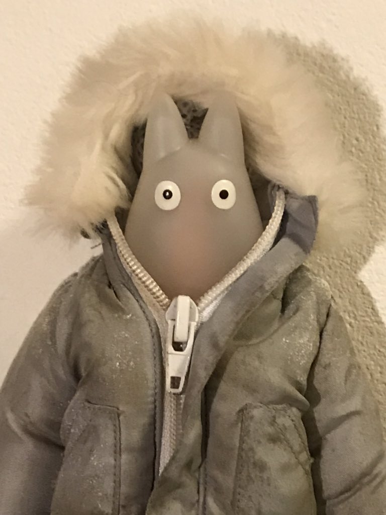 うちの小トトロ 