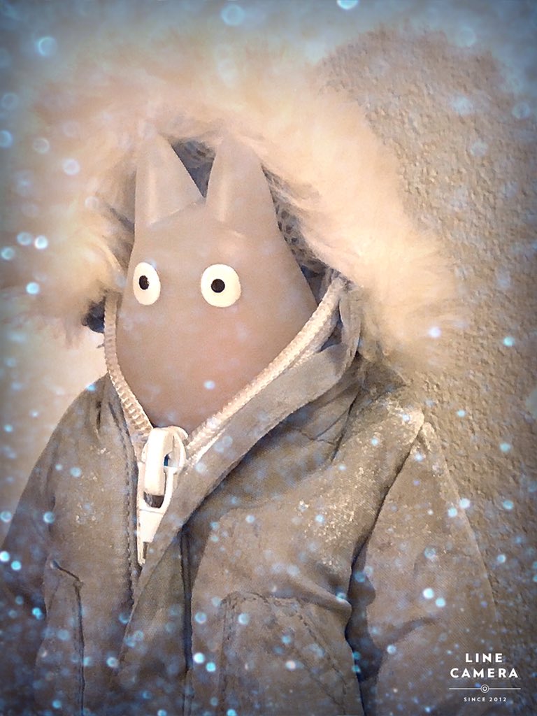 うちの小トトロ 