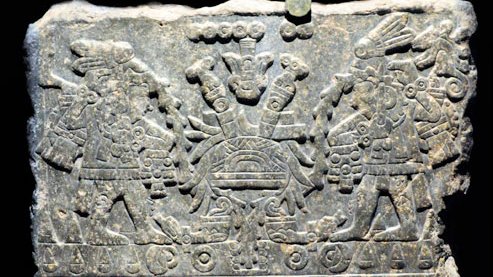 Bloodletting and auto sacrifice was a practice done by vast array of members in Mexica society, not just tlamacazque. The famous Ahuitzotl Dedication Stone at MNA shows rulers bloodletting from their ears 9/