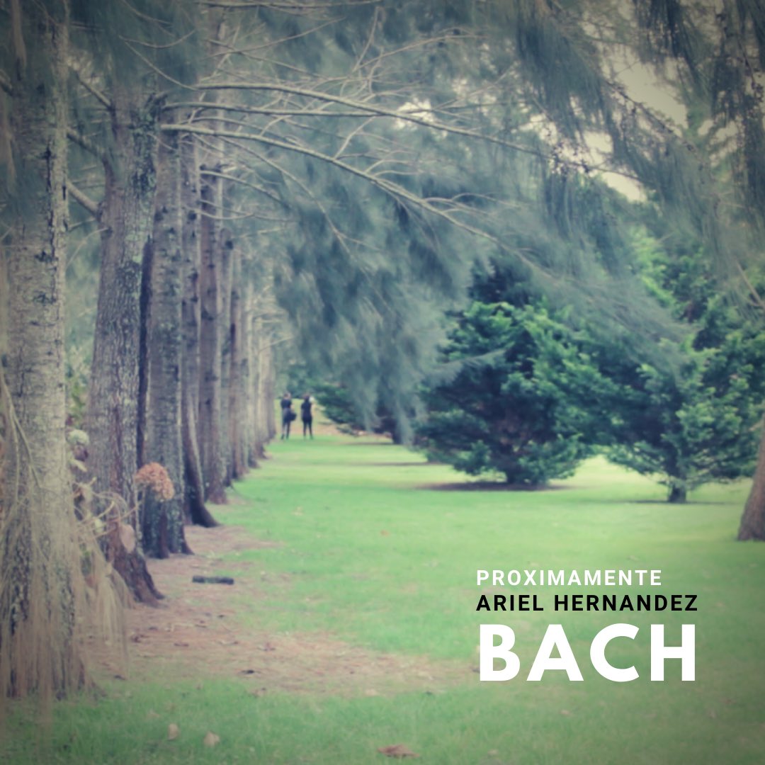 Ariel Hernandez tweet media