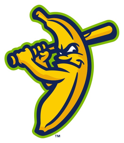 The Savannah Bananas  @TheSavBananas