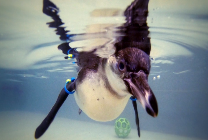 Jeff Ritter tweet media