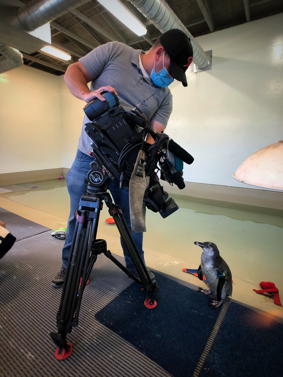 Jeff Ritter tweet media