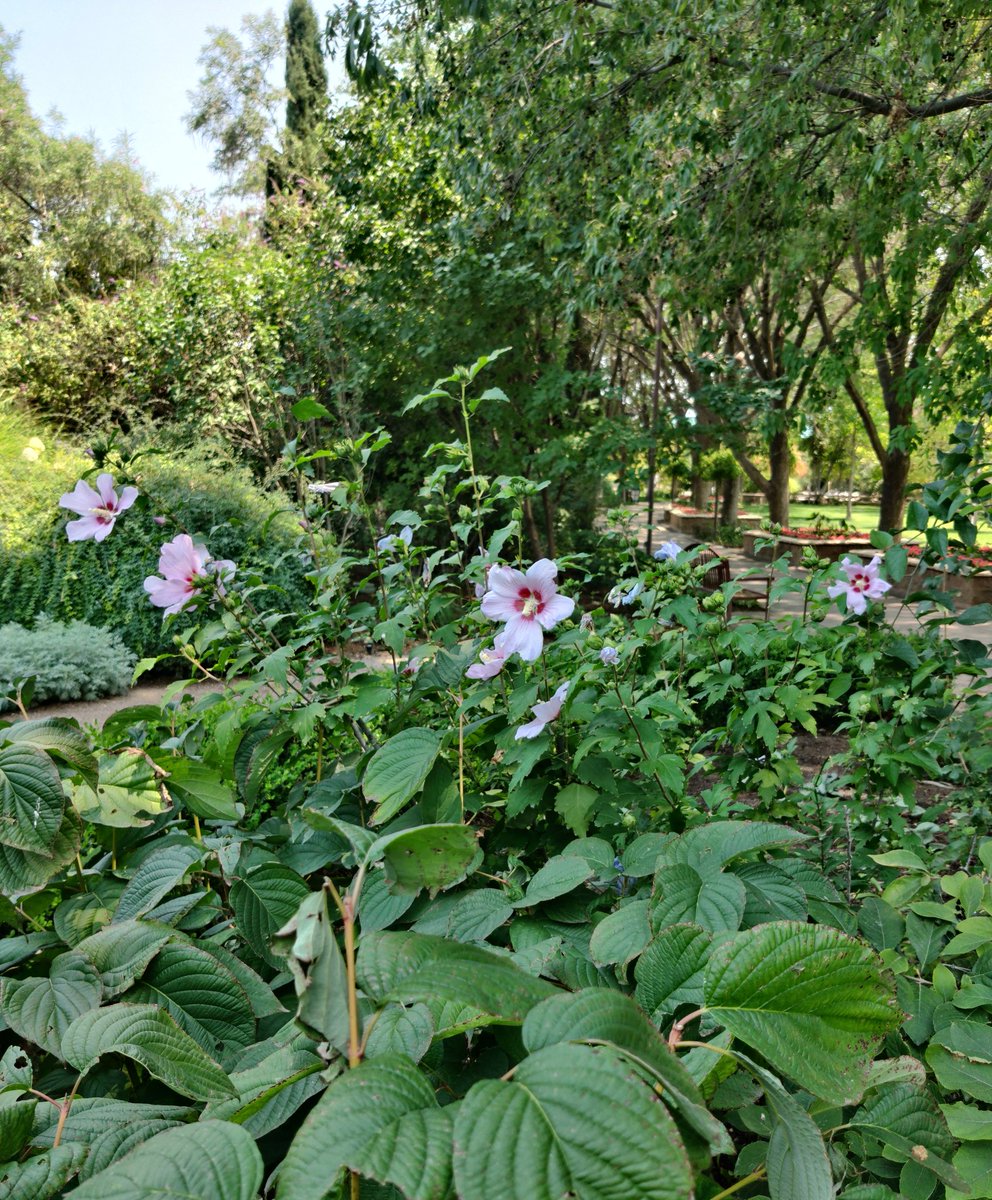 MoonUmbraVA's tweet photo. Went to the #BioGarden here in NewMexico and God I love it ❤️ https://t.co/xdUWGGEZhY