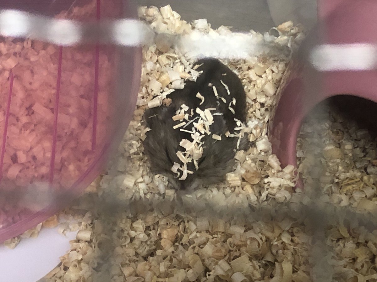 바로 옆이 집인데 왜 노숙을 하시는지...?