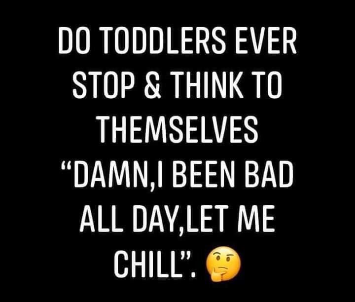 melnacflo's tweet photo. Today. #momlife #2yearoldproblems https://t.co/VWE3akWnQV