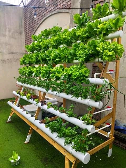 GetOneFreePromo's tweet photo. Loago Harvest (Pty) Ltd is a company by @TheTalkeee. They build and sell hydroponic Systems to aspiring farmers.The hydroponic Systems that they have are DWC and NFT systems.

They are based in Letlhabile,Brits and you can reach them on 0792662117 #FreePromo https://t.co/NRIYk0JvfR