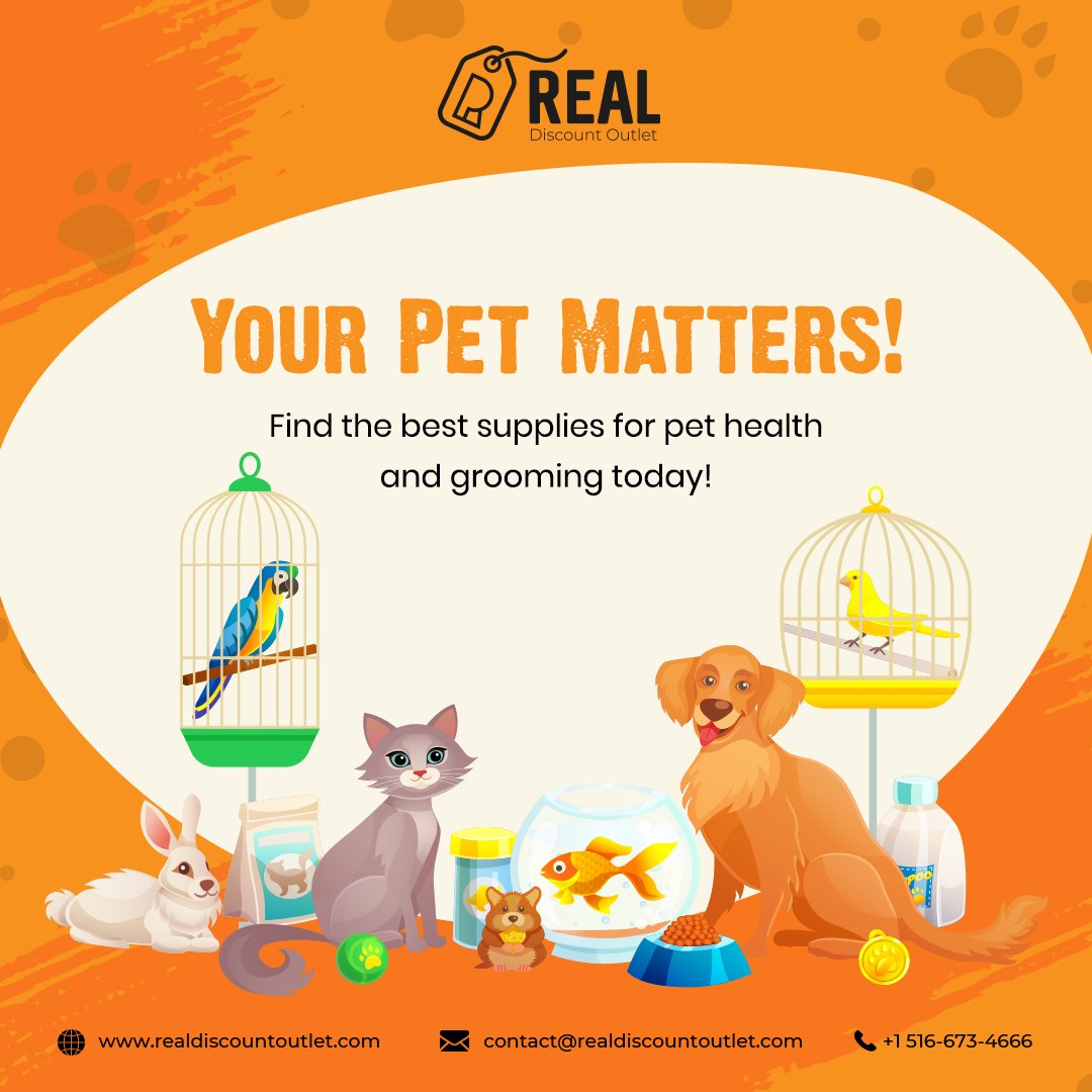 laser mouse for cats