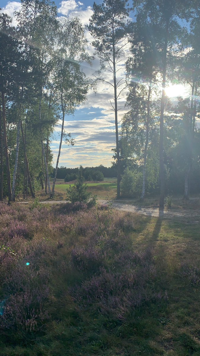 Hein van den Einden tweet media