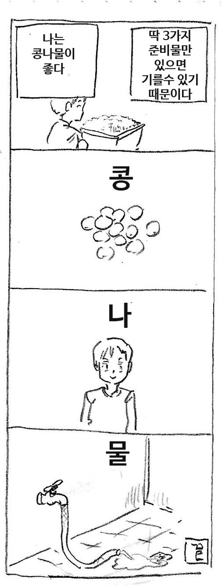 콩나물 