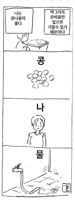 콩나물 