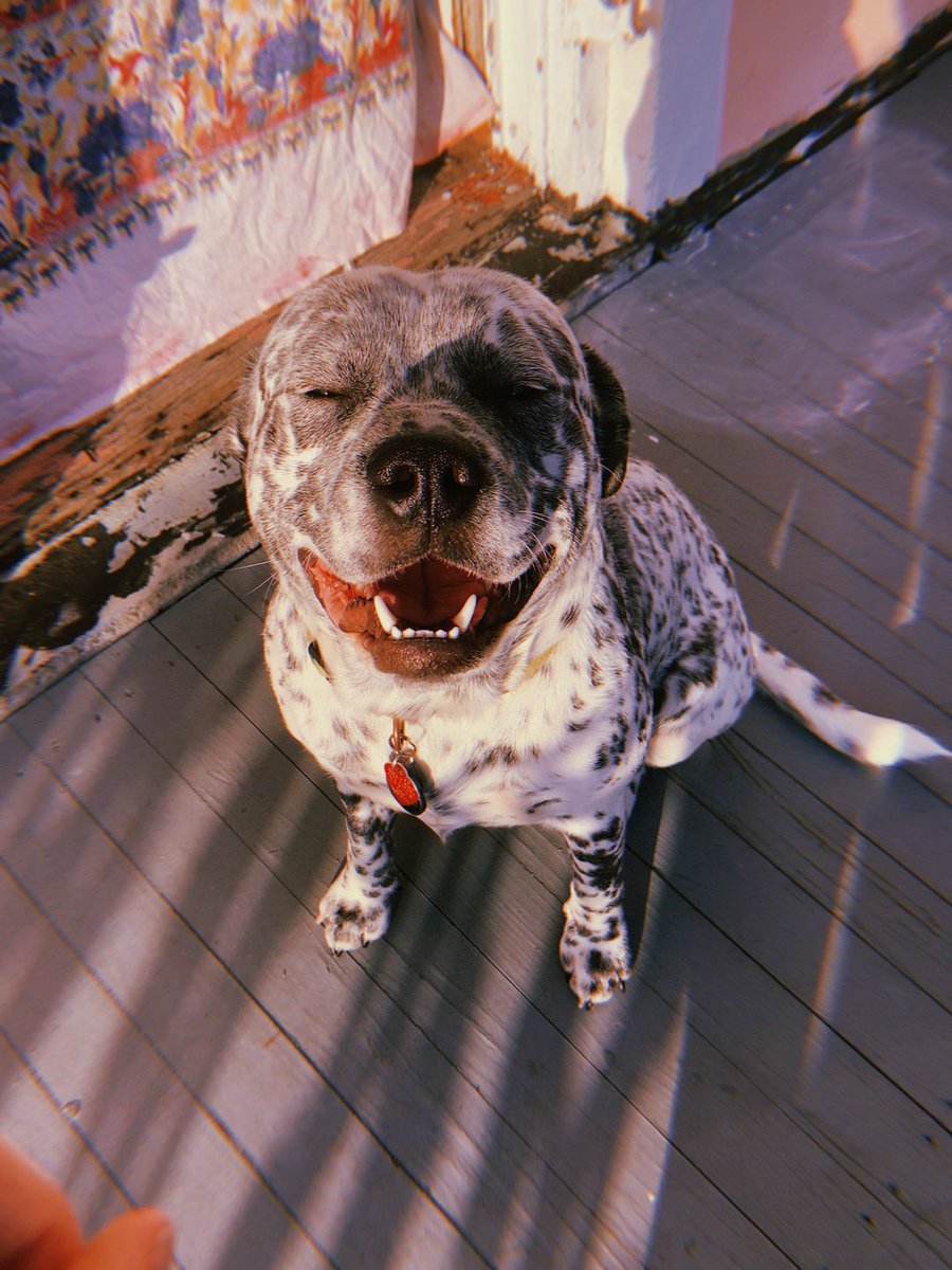 RAVENjayde_'s tweet image. golden hour 🌞