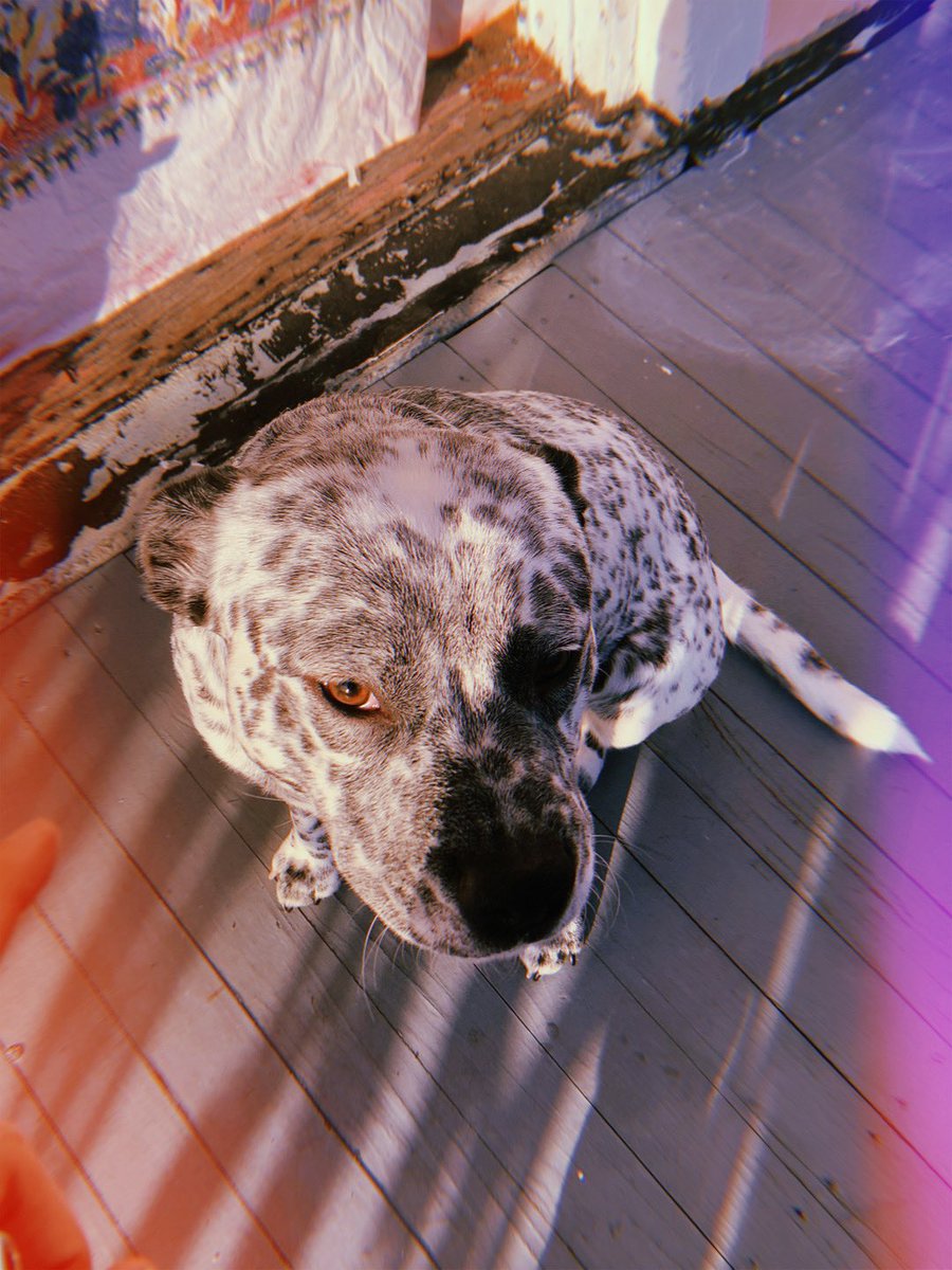 RAVENjayde_'s tweet image. golden hour 🌞