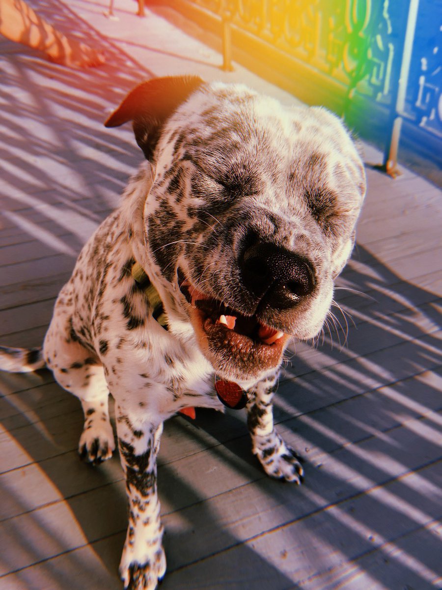 RAVENjayde_'s tweet image. golden hour 🌞