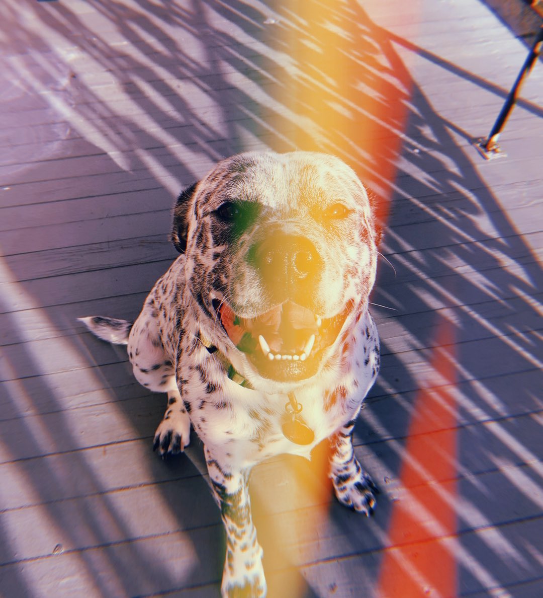 RAVENjayde_'s tweet image. golden hour 🌞