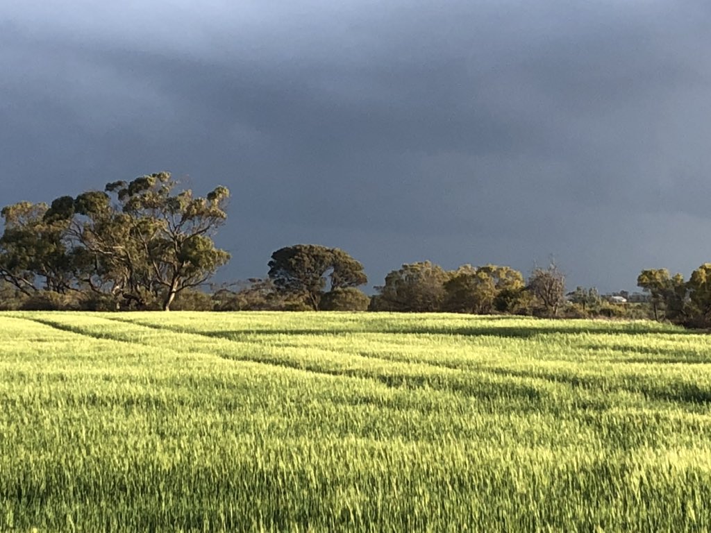 agrifinancedeb's tweet photo. When purchasing property the simplest way to obtain finance is to go to your current lender.  This is not always the best option and it could cost your business thousands. https://t.co/vaH20uxE1S https://t.co/JxVCzvXOYX