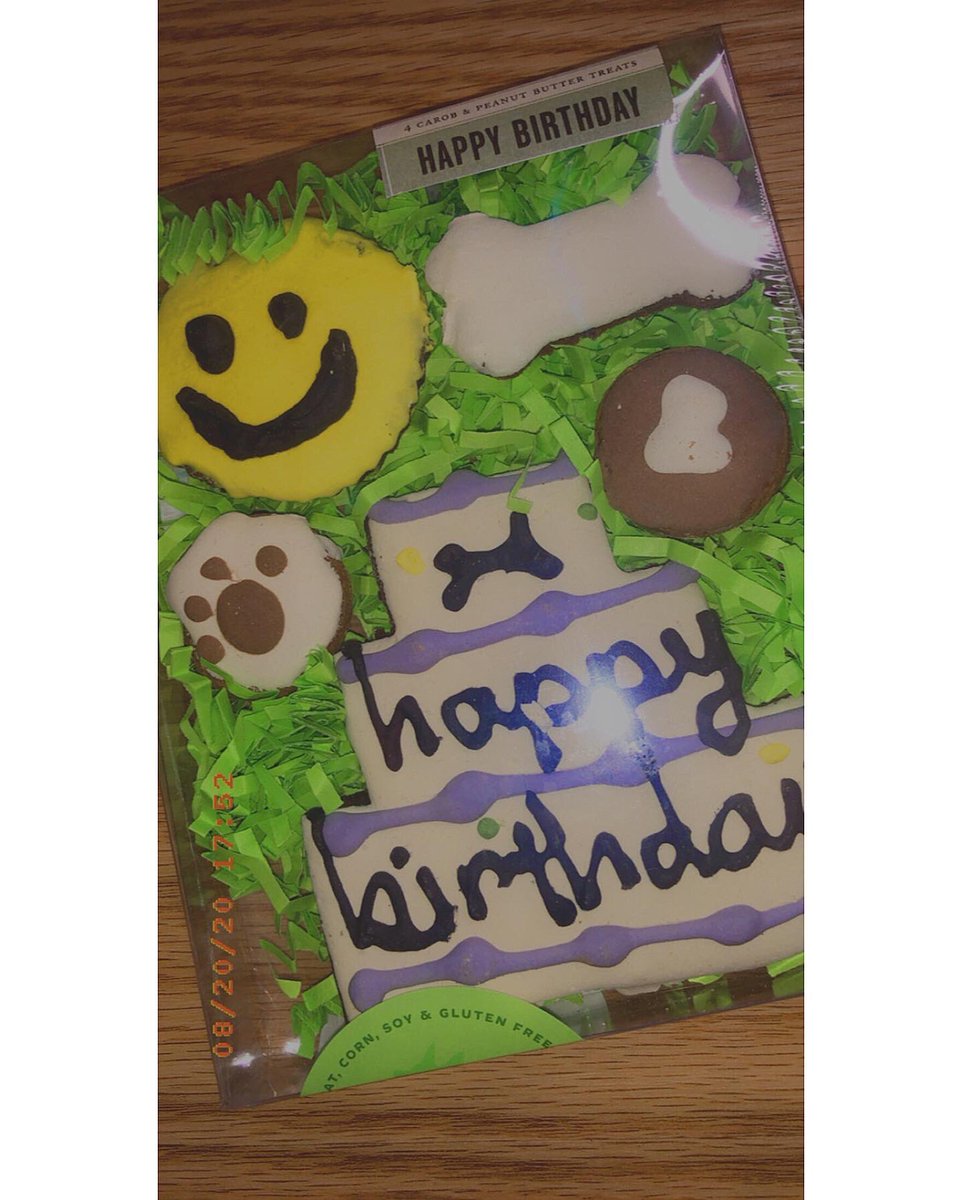 OfficialLIZ___'s tweet photo. HAPPY 1st BIRTHDAY TO BENTLEY 💙💙💙💙💙💙💙💙 #FurrBaby https://t.co/D4blQjNgQC