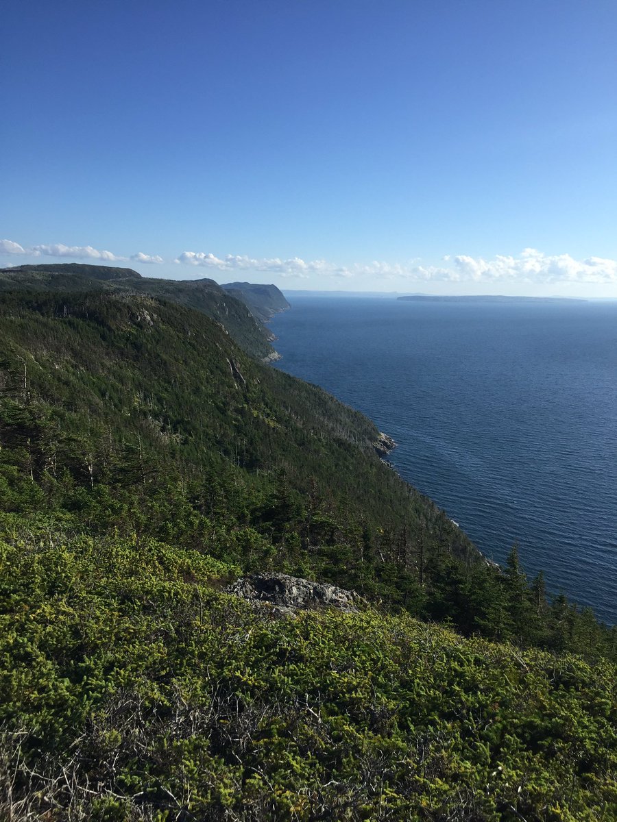 waynerwalsh's tweet photo. Another dandy evening for a run along the ECT. #WhitehorsePath #nlwx https://t.co/OG5wBc2eEs