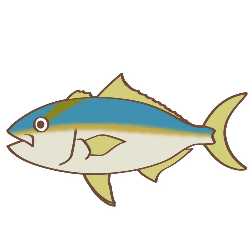 Twitter 上的 イラスト星人 調査報告546 魚 カンパチ T Co 6wyb5igo2k 間八 海に生息する流線型の生き物 おいしい イラスト フリー素材 こども園 無料 子供 こども 生物 生き物 魚類 魚 ブリ ヒラマサ カンパチ T Co Wcplpbtadw Twitter