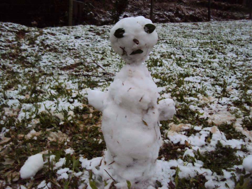 GuiBaldi's tweet photo. A melhor parte de nevar no Brasil é que começam os bonecos de neve da deepweb https://t.co/BXOOxCuO5C