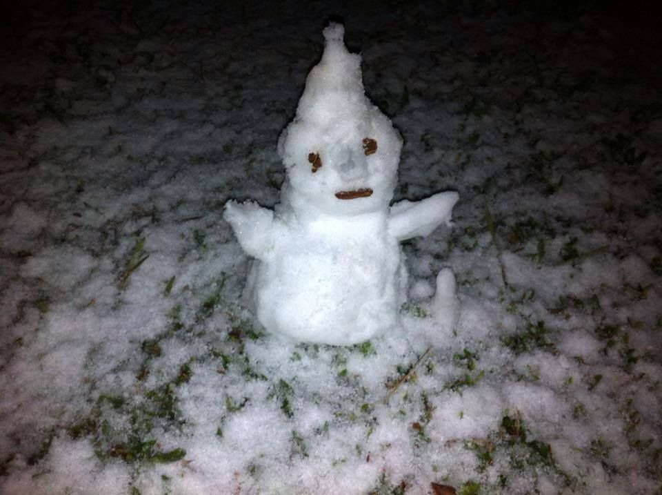 GuiBaldi's tweet photo. A melhor parte de nevar no Brasil é que começam os bonecos de neve da deepweb https://t.co/BXOOxCuO5C