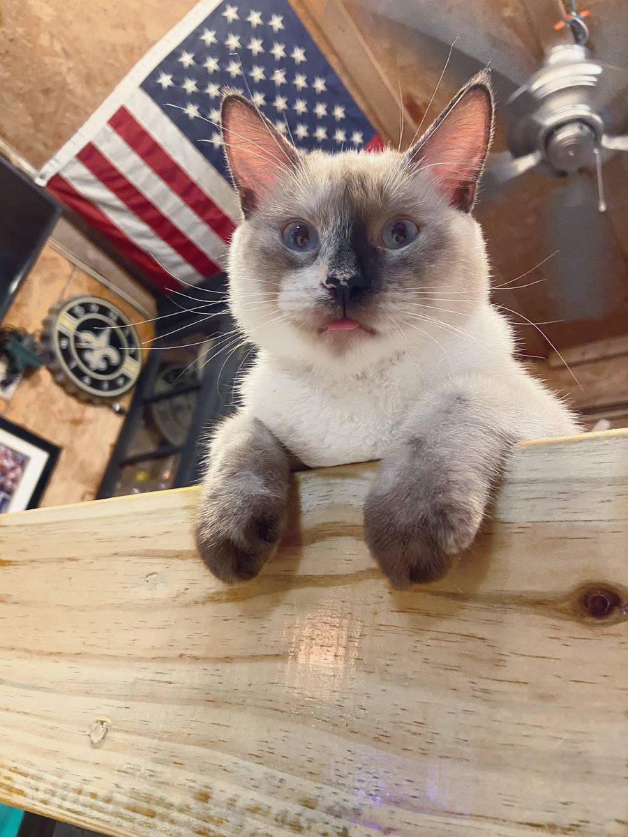 Courtney Jones tweet media