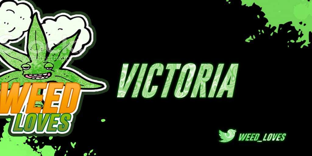 🏆:<a href="/LDumker/">Liga Dumker</a>
🆚️:<a href="/ToxicAcademy/">Toxic Academy</a>
❓: 2-1
Cerrando el set de definicion @Firinoliww18s nos llevamos el encuentro #goweed

🗣:

<a href="/SxxRca/">RCAS</a>

👥:

-<a href="/alvaro05_cr/">Á</a> 🏅
-<a href="/lvaroGa47571558/">KillerBE CR 💪</a> 🥈
-@Firinoliww18s 🎖
-<a href="/JhonatanToruno1/">Jhonatan Toruno</a> 🎖
-<a href="/KlTheKingFelipe/">Thebbya</a> 🥈