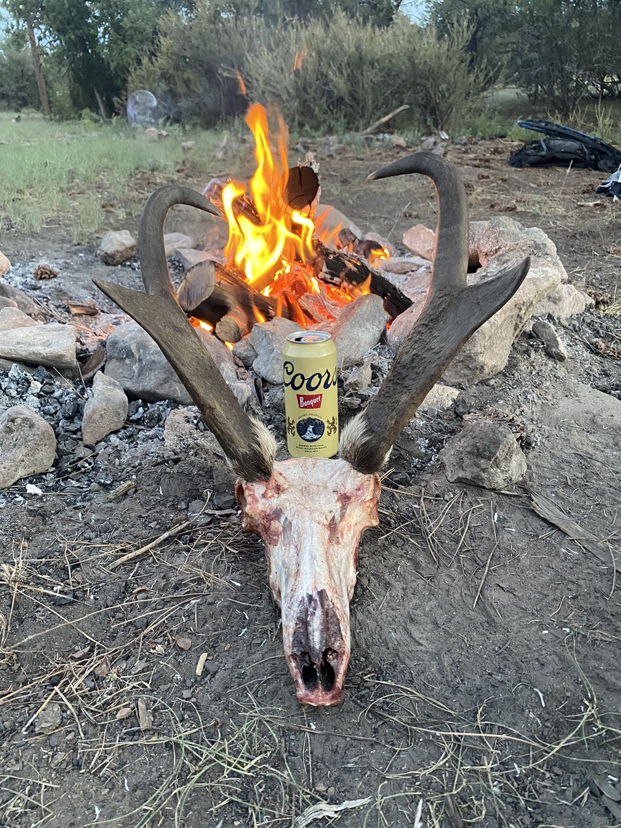 The first #newmexico antelope tag in my life and I was blessed with this nice buck!🙏🏽 Nothing better than some cold ones and fresh tenderloin at camp!! 🍻#hunting #gila