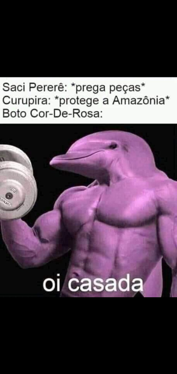 Patético nadar Sinceramente Gabbizita🦋☃️🎮 on Twitter: "@maiconkusterk Boto comedor de casadas😎 (Me desculpem por está atrocidade) https://t.co/0zADaDNWBM" / Twitter Patético nadar Sinceramente Gabbizita🦋☃️🎮 on Twitter: "@maiconkusterk Boto comedor de casadas😎 (Me desculpem por está atrocidade) https://t.co/0zADaDNWBM" / Twitter