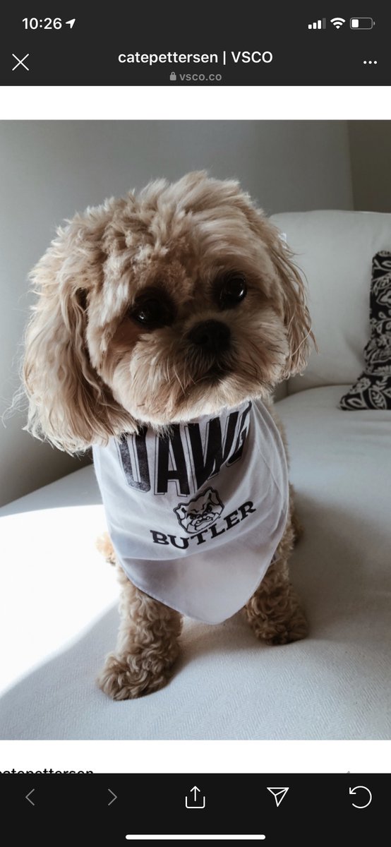 HawkeyeMommeye's tweet photo. #GoDawgs #Butler2024 https://t.co/WfYIy6VOA8