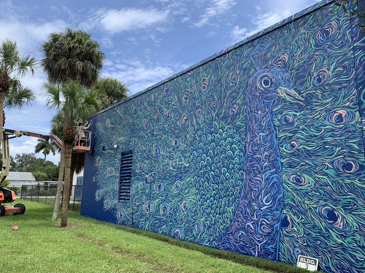 Another incredible mural going up at VSY! #vsymuralproject #vsyproud