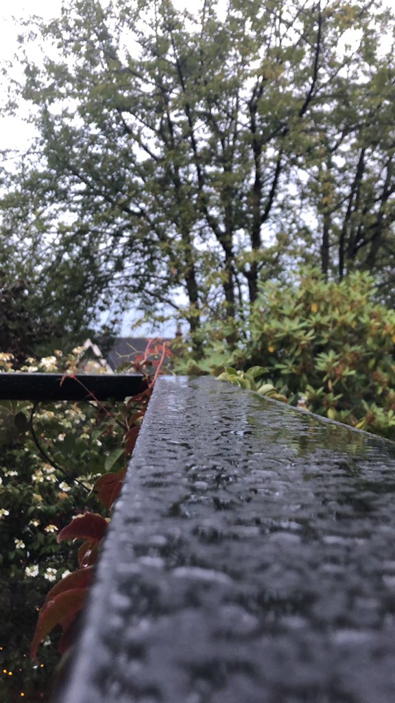 armelcastellan's tweet photo. #AutumnInAugust #SouthCoastSlam #BCWx #BCStorm #WaWx But a #DryWeekend to rebound with!-) https://t.co/fIM9GjjFVd