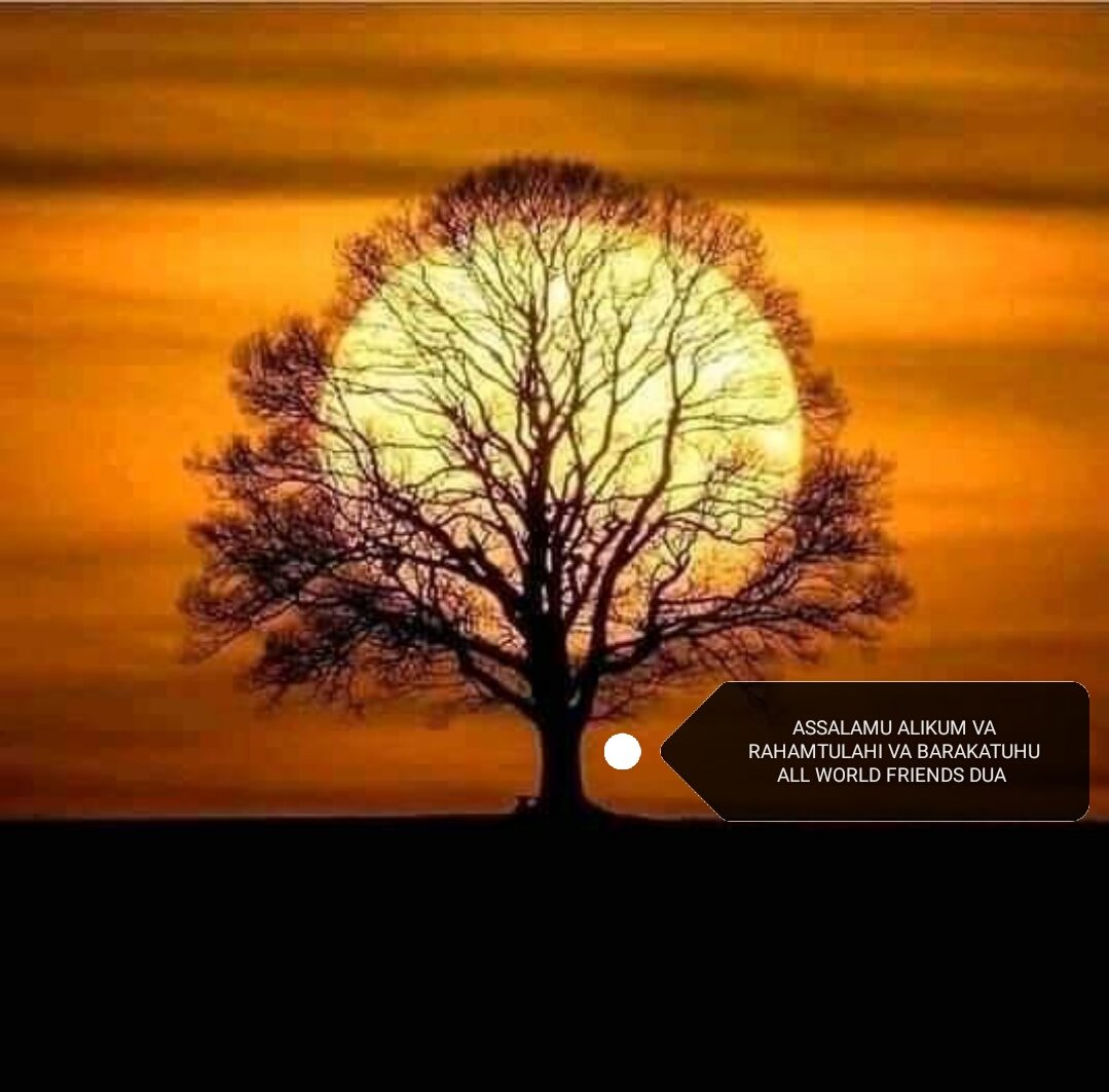 BashaIndia's tweet photo. @hamdan_al7osani @HHShkMohd https://t.co/jHTtJtn3v1