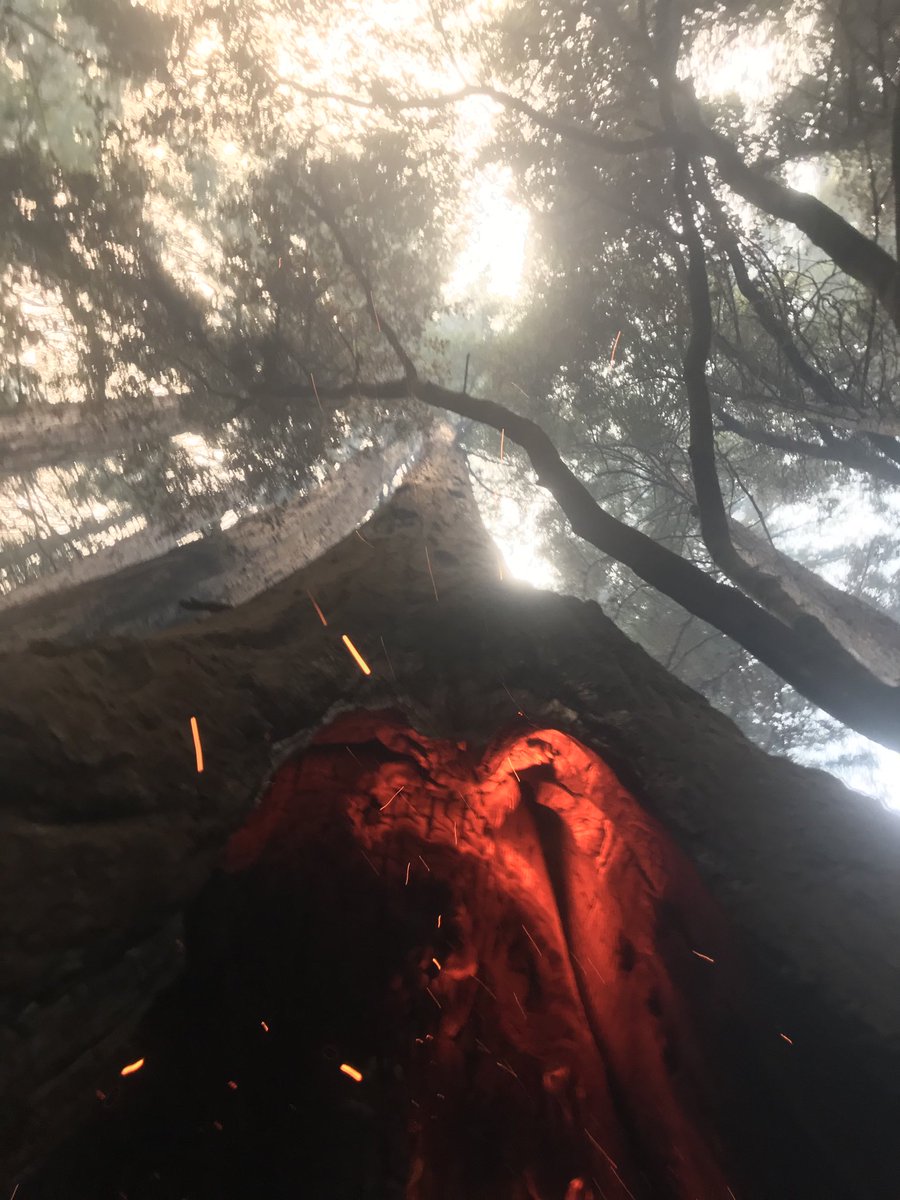 Another burning heart at Big Basin Redwoods State Park