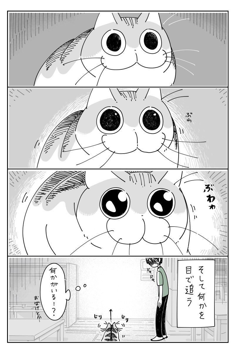 何かを見つめるネコ
https://t.co/Uxh19BYPJY 