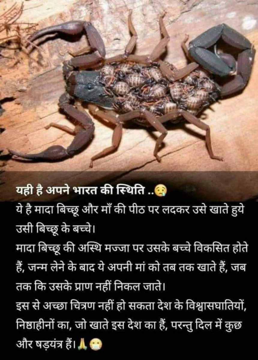 Kayastha Parivar Ghaziabad (@kayasthaparivar) on Twitter photo देश के विश्वाघातियों,  निष्ठाहीन एवं घोटालेबाज का इससे अच्छा उदाहरण और नही हो सकता। देश के विश्वाघातियों,  निष्ठाहीन एवं घोटालेबाज का इससे अच्छा उदाहरण और नही हो सकता।
