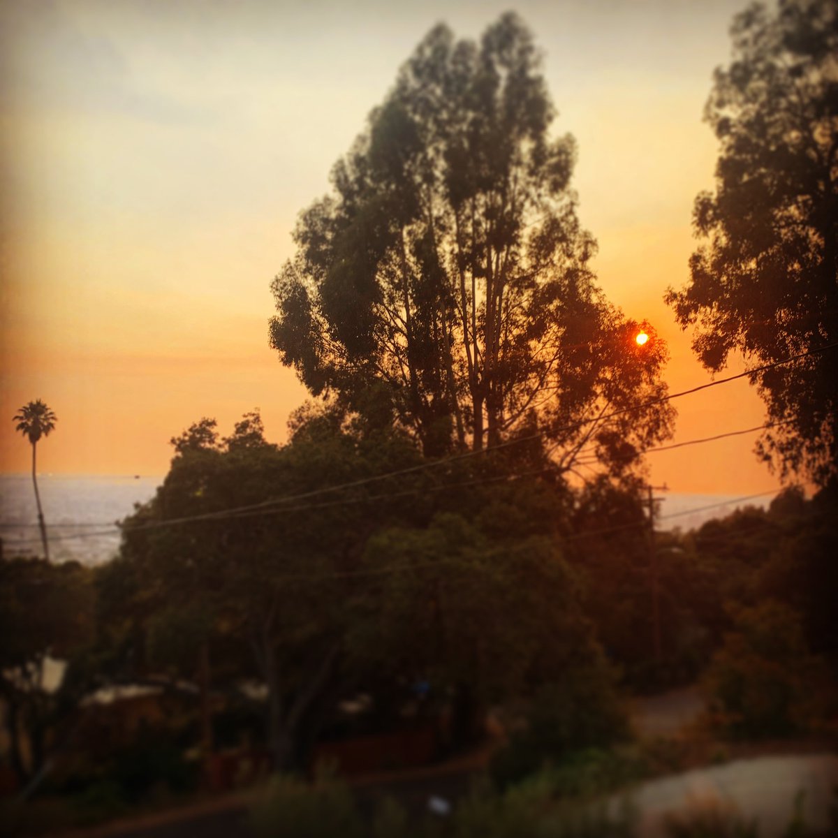 StateCreative74's tweet photo. Our hearts are heavy for everything people are going through right now. Stay safe.

#smoke #fire #bayarea #oakland #santacruz #czulightningcomplex #covid19 #pandemic #weloveoakland #sanfrancisco #california #heatwave #lnufirecomplex #scucomplexfire https://t.co/kDVUBd0h0q
