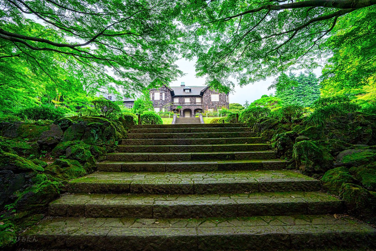 Pirotan_15's tweet photo. The former Furukawa Teien Garden🍓
#Potograph #Tokyo https://t.co/1Ddl7VUkcY