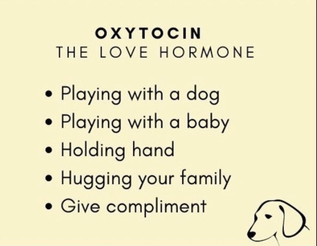 thebalance_cl's tweet photo. Lift your #health and #happiness by lifting your #oxytocin level - the #love #hormone. #playingwithdog #playingwithanimals #playingwithbaby #holdinghands #hugging #givecompliments https://t.co/9DhBL3Tb1L
