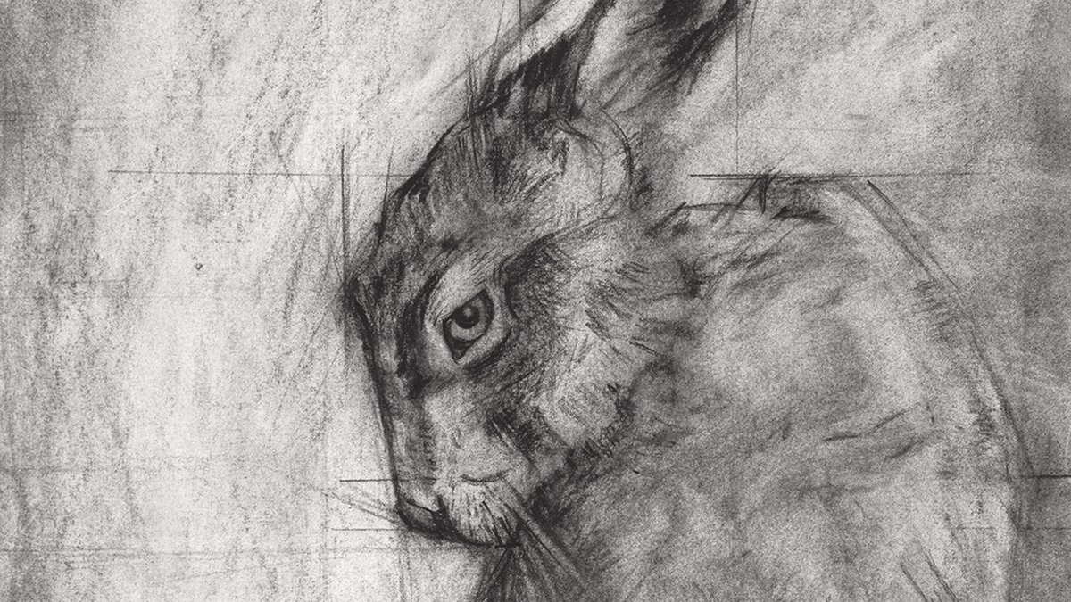 LauraLebedaArt's tweet photo. Hare - charcoal on paper, fine art prints available https://t.co/0OW6rfBg0q https://t.co/cgDKCeXnae