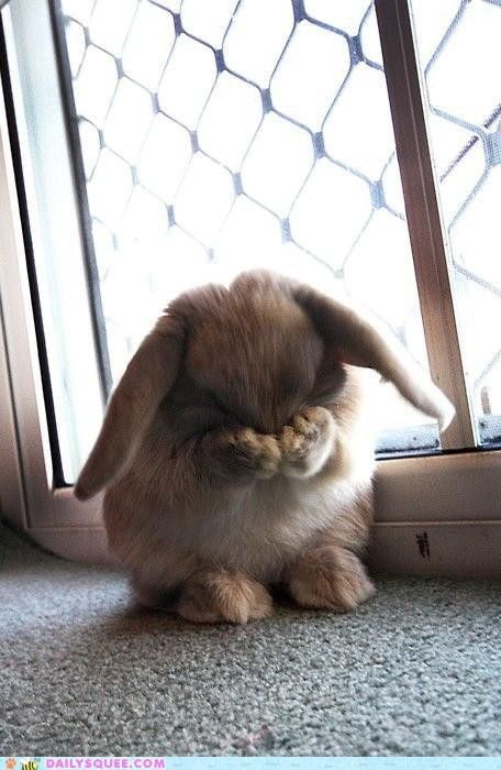  Waverly Earp as bunnies, a thread: