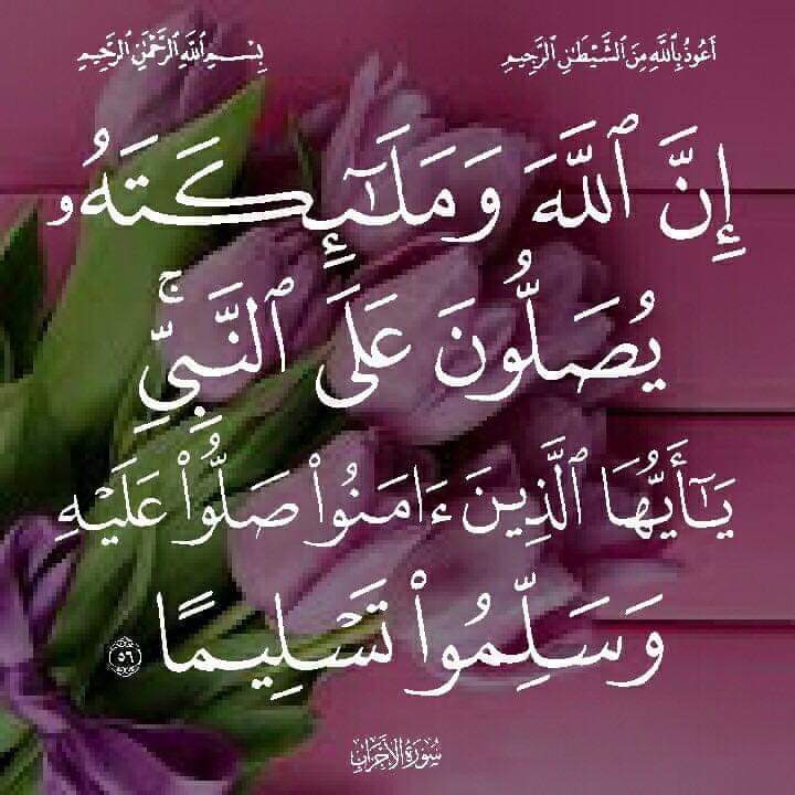 Ahmed Ewies (@ewiesahmed) on Twitter photo 