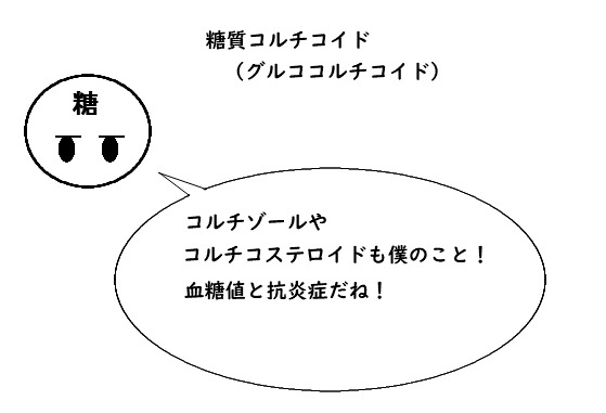 橋本 さとみ pa twitter 副腎皮質ホルモンは2つに分けられるね 血液や尿のミネラル 鉱物 コントロール 担当が鉱質コルチコイド 血糖値と抗炎症作用担当は糖質コルチコイド どちらも看護師国家試験頻出 副腎皮質ホルモンをコントロールする 下垂体前葉ホルモン